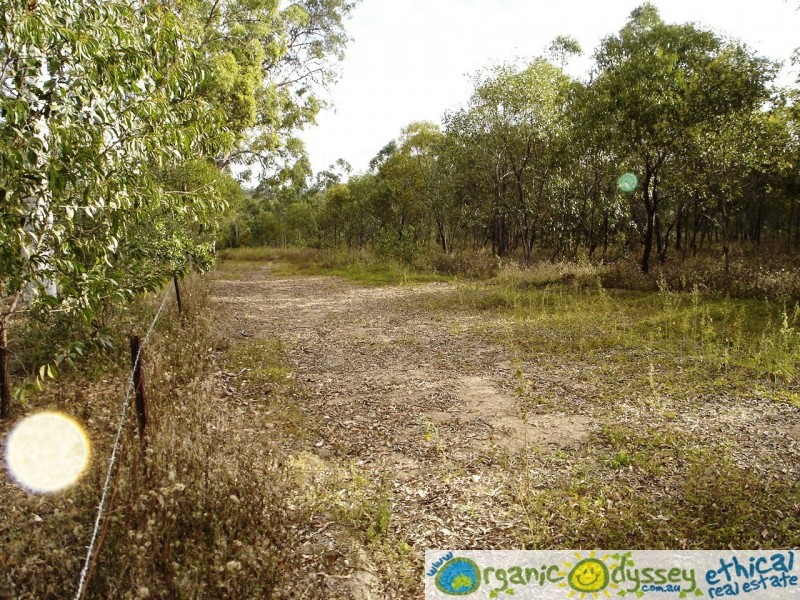 Colosseum QLD 4677