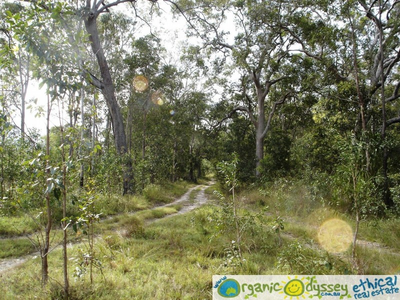 Colosseum QLD 4677