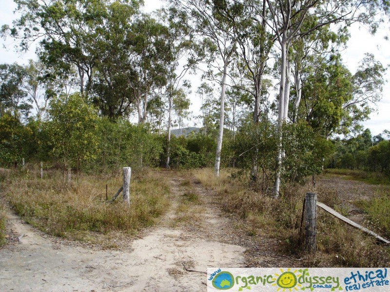 Colosseum QLD 4677