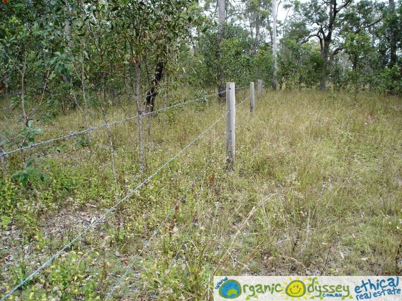 Colosseum QLD 4677