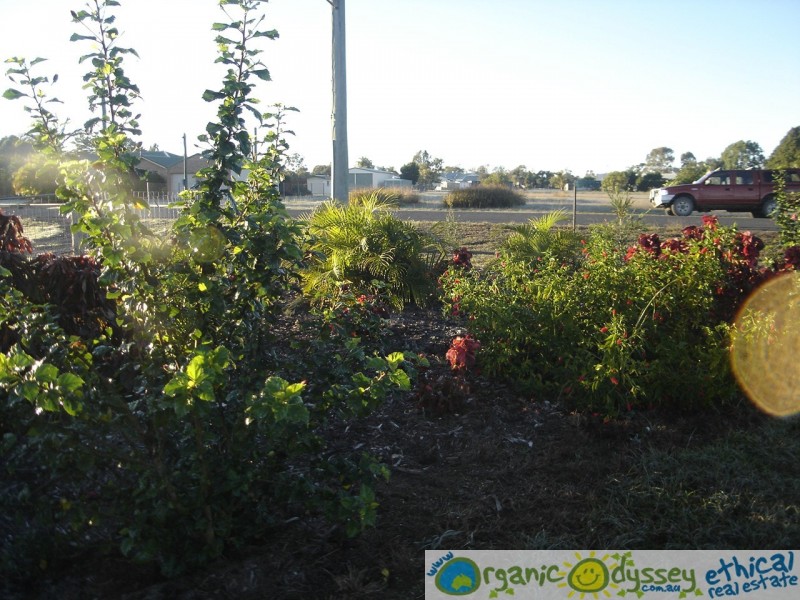 Branyan QLD 4670