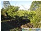 Branyan QLD 4670