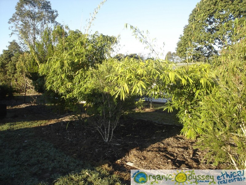 Branyan QLD 4670