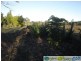 Branyan QLD 4670