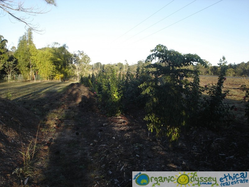 Branyan QLD 4670