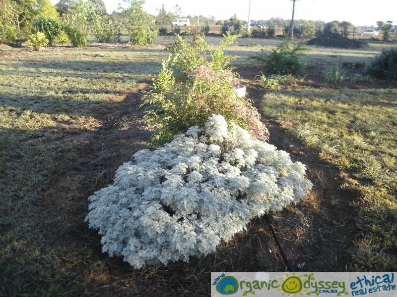 Branyan QLD 4670