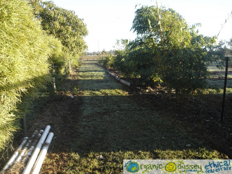 Branyan QLD 4670