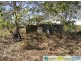 Rosedale QLD 4674