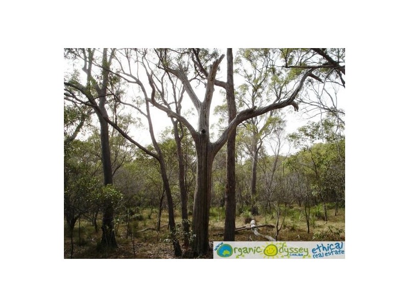 Agnes Water QLD 4677