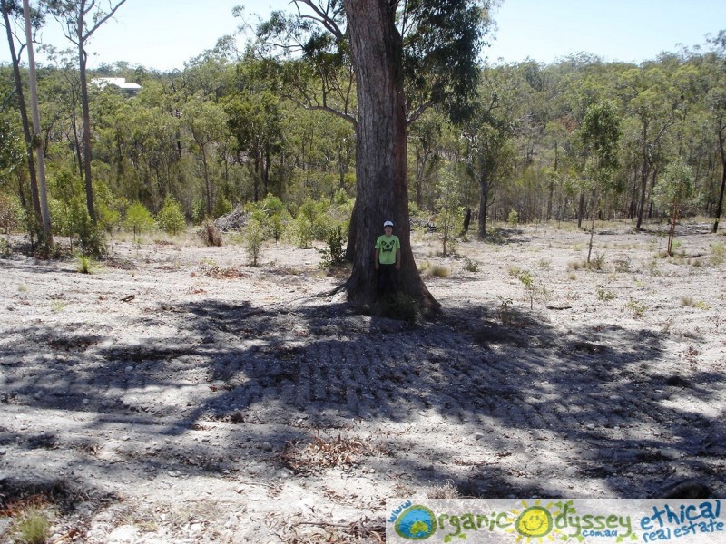Maroondan QLD 4671