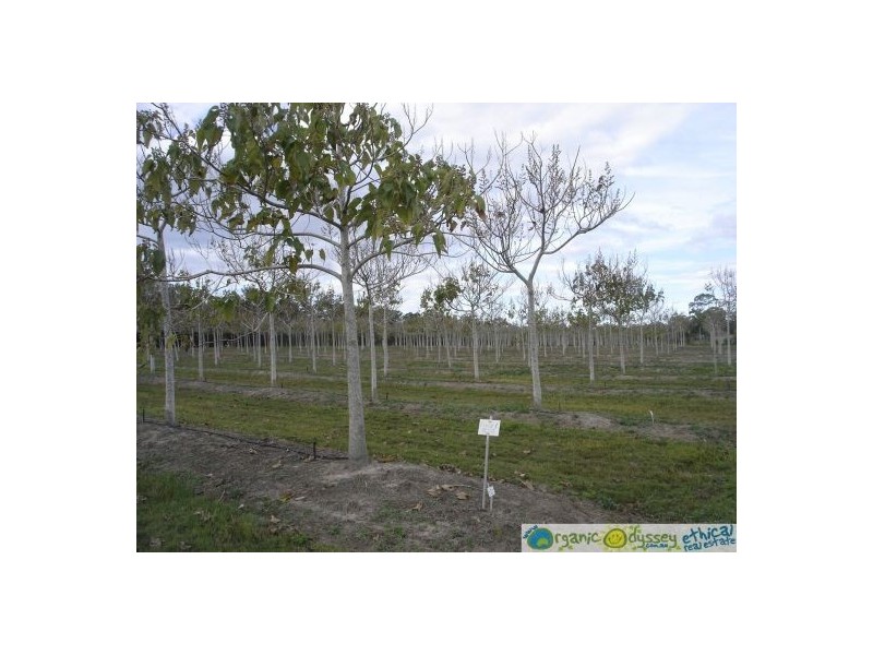 Deepwater QLD 4674