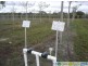 Deepwater QLD 4674