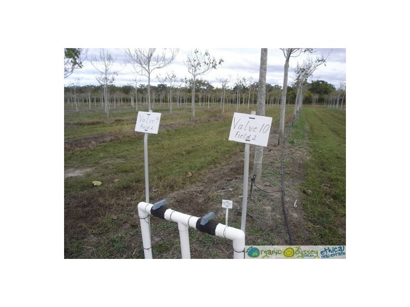 Deepwater QLD 4674