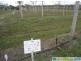 Deepwater QLD 4674