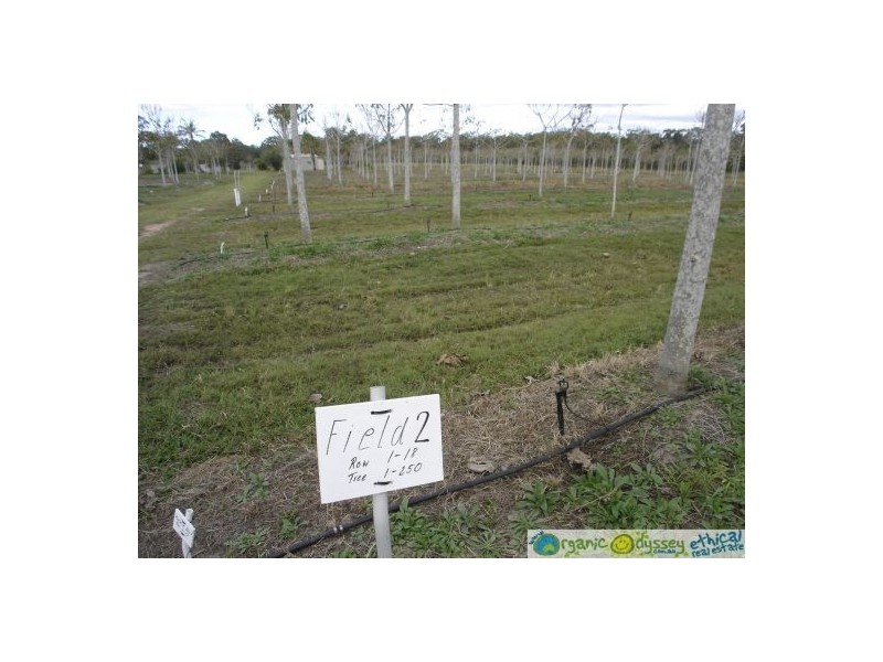 Deepwater QLD 4674