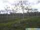 Deepwater QLD 4674