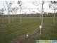 Deepwater QLD 4674