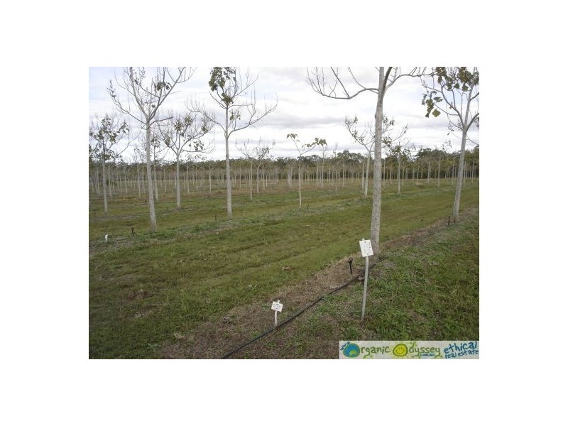 Deepwater QLD 4674