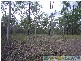 Euleilah QLD 4674