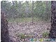Euleilah QLD 4674
