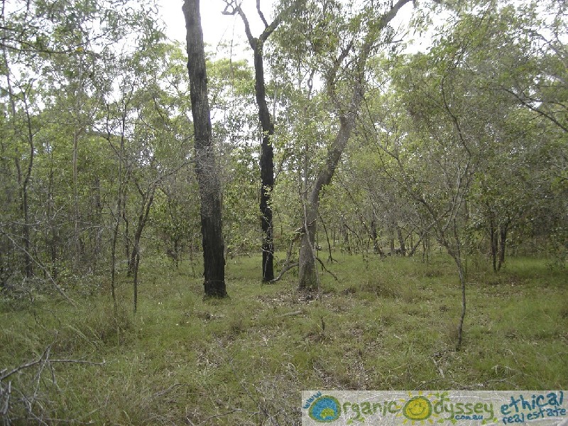 Euleilah QLD 4674