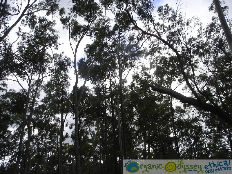 Euleilah QLD 4674