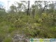 Deepwater QLD 4674
