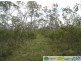 Deepwater QLD 4674