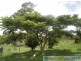 2208 Round Hill Road, Round Hill QLD 4677