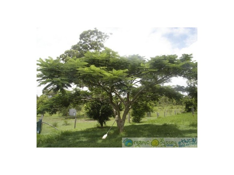 2208 Round Hill Road, Round Hill QLD 4677