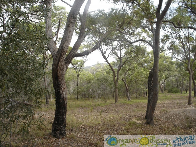 Agnes Water QLD 4677