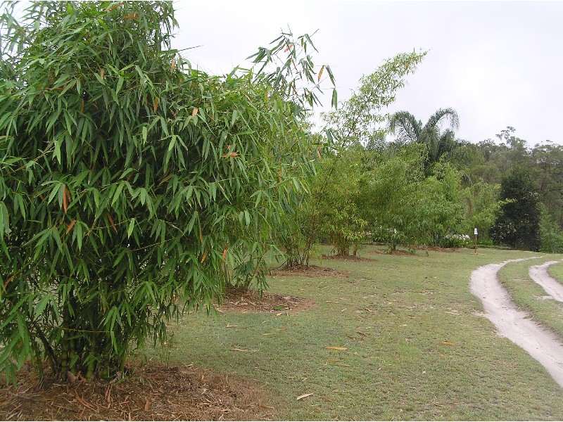 Mount Maria QLD 4674