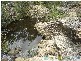 Mount Maria QLD 4674
