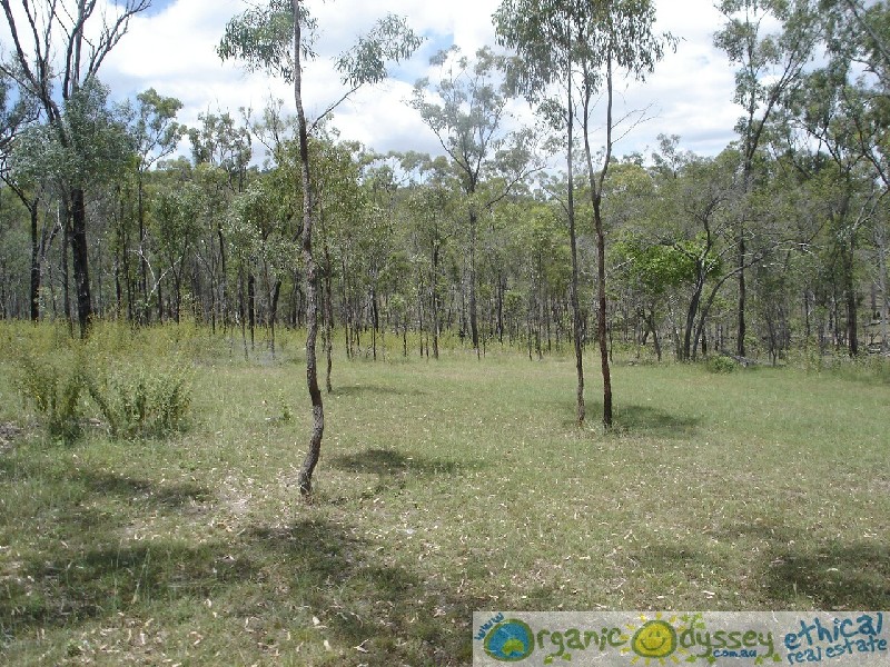 Turkey Beach QLD 4678