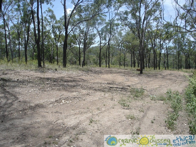 Turkey Beach QLD 4678