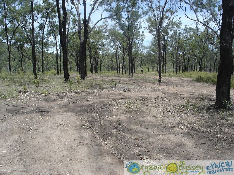 Turkey Beach QLD 4678