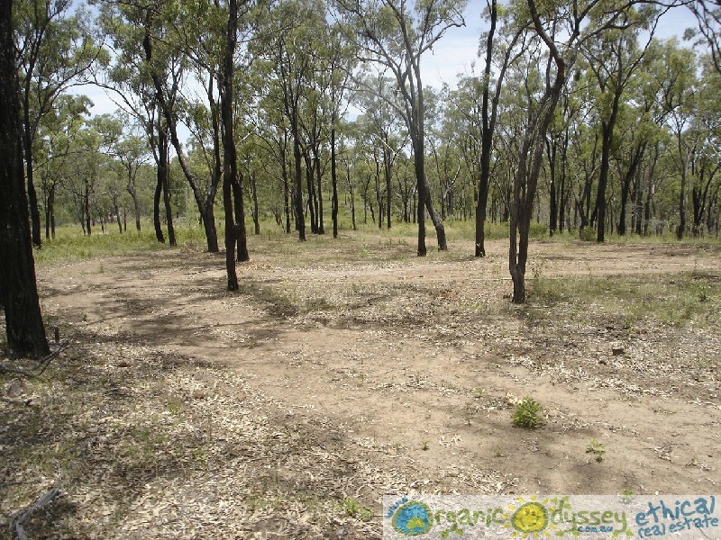 Turkey Beach QLD 4678