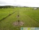 Maroondan QLD 4671