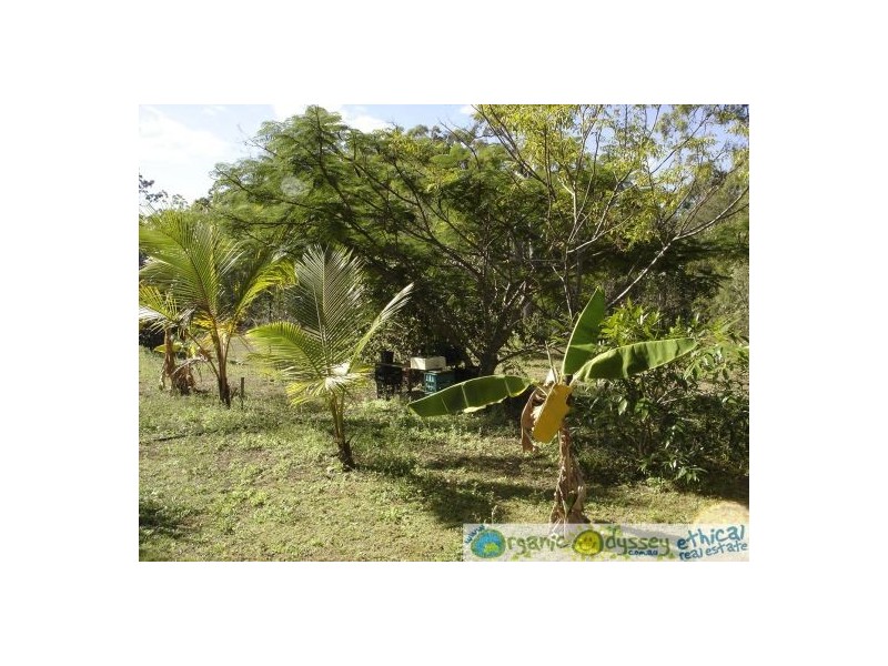 803  Capricornia Dr, Deepwater QLD 4674