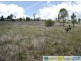 Mount Perry QLD 4671