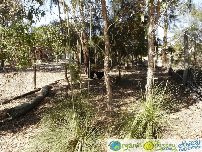 Deepwater QLD 4674