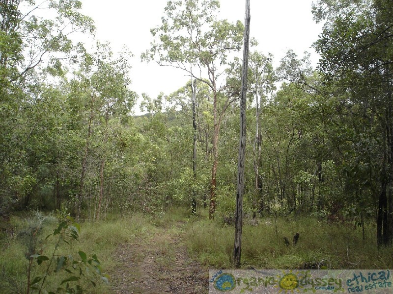 Captain Creek QLD 4677