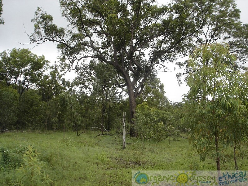 Captain Creek QLD 4677