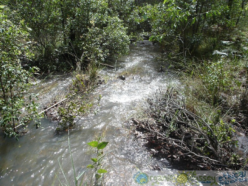 Captain Creek QLD 4677