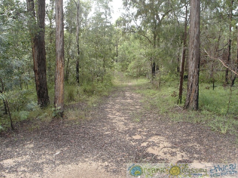 Captain Creek QLD 4677