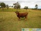Moolboolaman QLD 4671