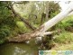 Moolboolaman QLD 4671