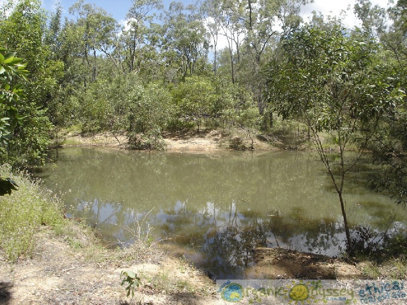 Lowmead QLD 4676