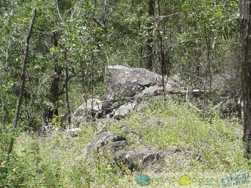 Lowmead QLD 4676