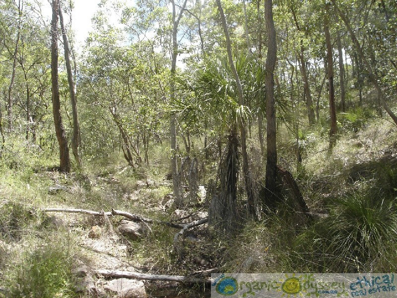 Lowmead QLD 4676